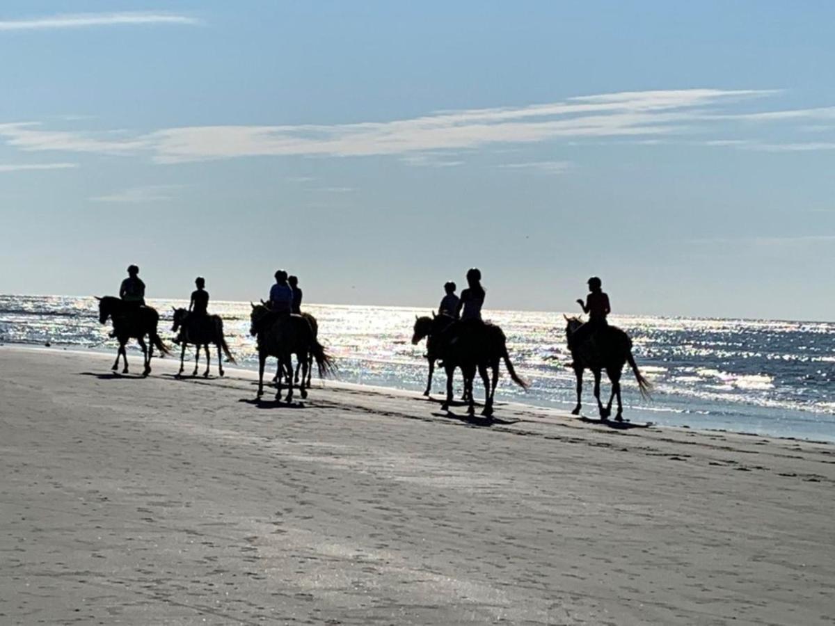 1313 Pelican Watch - Seabrook Island - Beachfront 5 Star Condo - Fido Friendly Exterior photo